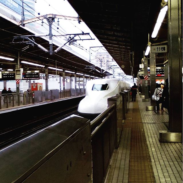 ドシャ降りになってきた。出掛けは降ってなかったのにね。#新横浜　#新幹線 #n700